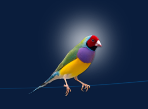 Picture of Responsible AgeTech